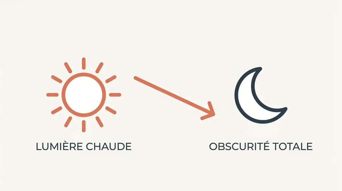 Schéma expliquant la fonction crépuscule d'un simulateur d'aube, qui diminue progressivement une lumière chaude pour favoriser la sécrétion de mélatonine.